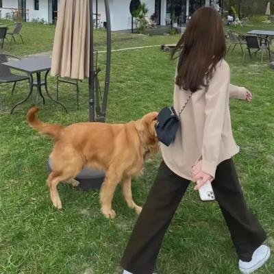活著多好